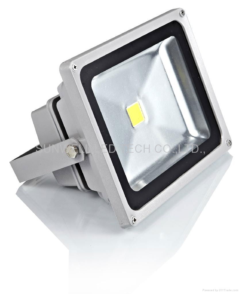 LED floodlight 30w with USA bridge lux chips + MEANWELL ballast