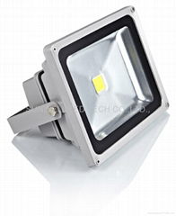 LED floodlight 30w with USA bridge lux chips + MEANWELL ballast