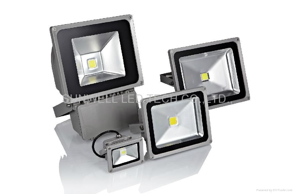LED floodlight 30w with USA bridge lux chips + MEANWELL ballast 3