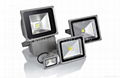 LED floodlight 30w with USA bridge lux chips + MEANWELL ballast 3