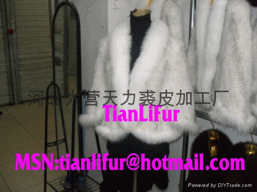 fur clothing、mink clothing、rabbit ciothing、fox ciothing 3