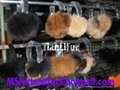 Fur ear cover, fox ears sets, lamb and rabbit ears set of ears 3