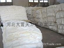 hebei  daying  tianli fur co;,ltd