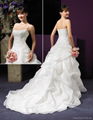 wedding dress,evening dress