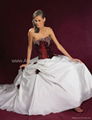 wedding dress,evening dress