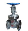 gate valve