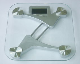 electronic body scale