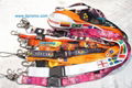 Heat-transfer lanyard