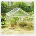 greenhouse 1