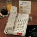 Bittel Hotel Guest Room Phone 1