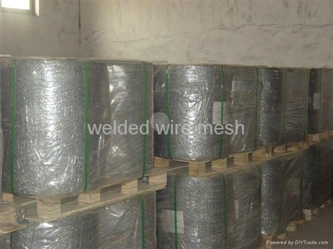 Hexagonal Wire Netting 3