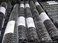 Hexagonal Wire Netting 4