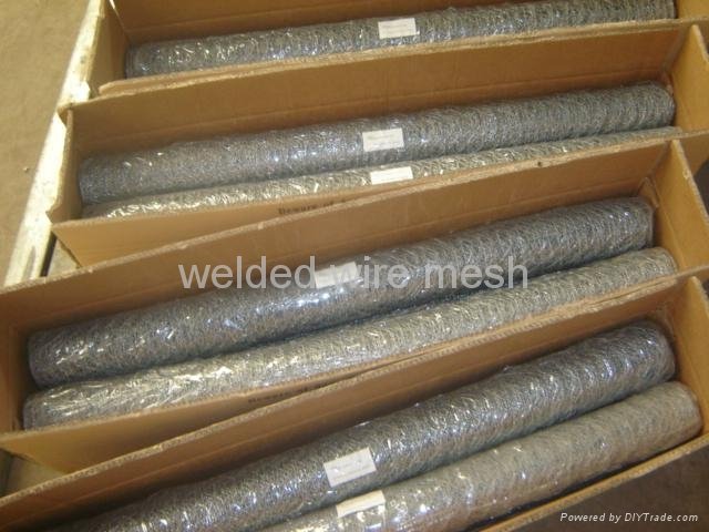 Insect Wire Netting 3