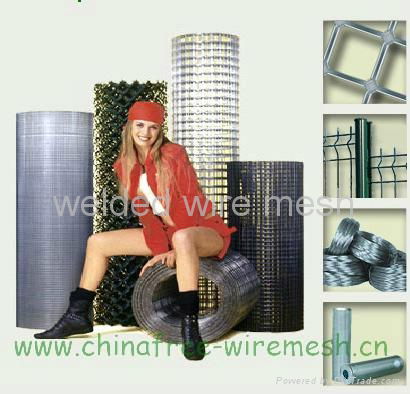 Stainless Steel Wire Mesh 5