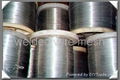 stainless steel wire 5