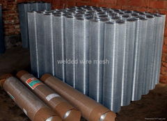 wire cloth