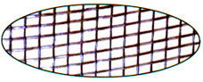 Insect Wire Netting 2