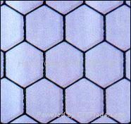 Hexagonal Wire Netting