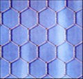 Hexagonal Wire Netting 2