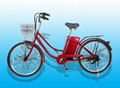 Electric bike TDL612Z