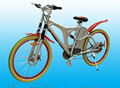 electric bike TDL601Z 1