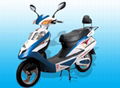 electric bike TDR613Z 1