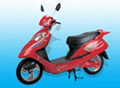 electric bike TDR616Z