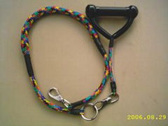 Pet leash