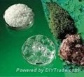 Super Absorbent Polymer for Agriculture