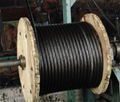 steel wire