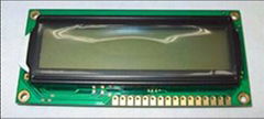 LCD MODULE