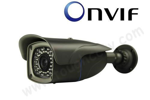 2.0 Mega Pixel IR Waterproof IP Camera