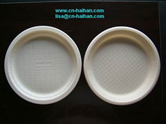 disposable plate