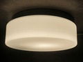 ceiling light 1