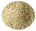 Dehydrated Garlic Granules  1