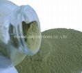  Stevia leaves powder  1