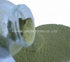 Stevia leaves powder