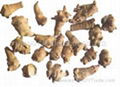 Ginseng Root/herbal tea suppliers/herbs to lower blood pressure /liqustrum herb 5