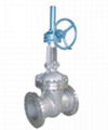 gate valve 1