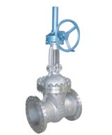 gate valve