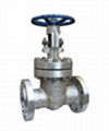 gate valve 2