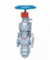 gate valve