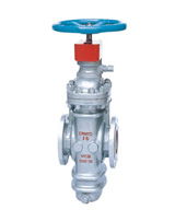 gate valve