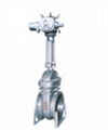 gate valve 2