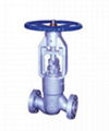 Globe valve 2