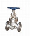 Globe valve 3