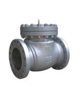 check valve