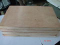 plywood, blockboard,film-faced board,chipboard,MDF 1