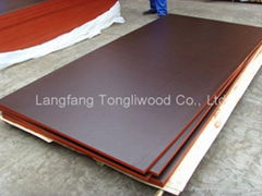 Brown Film Faced Plywood