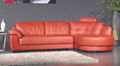 leather sofa